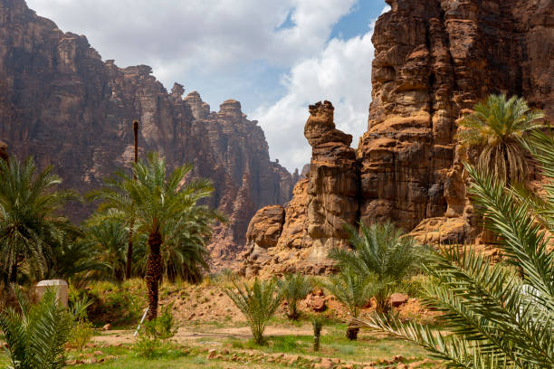 تبوك